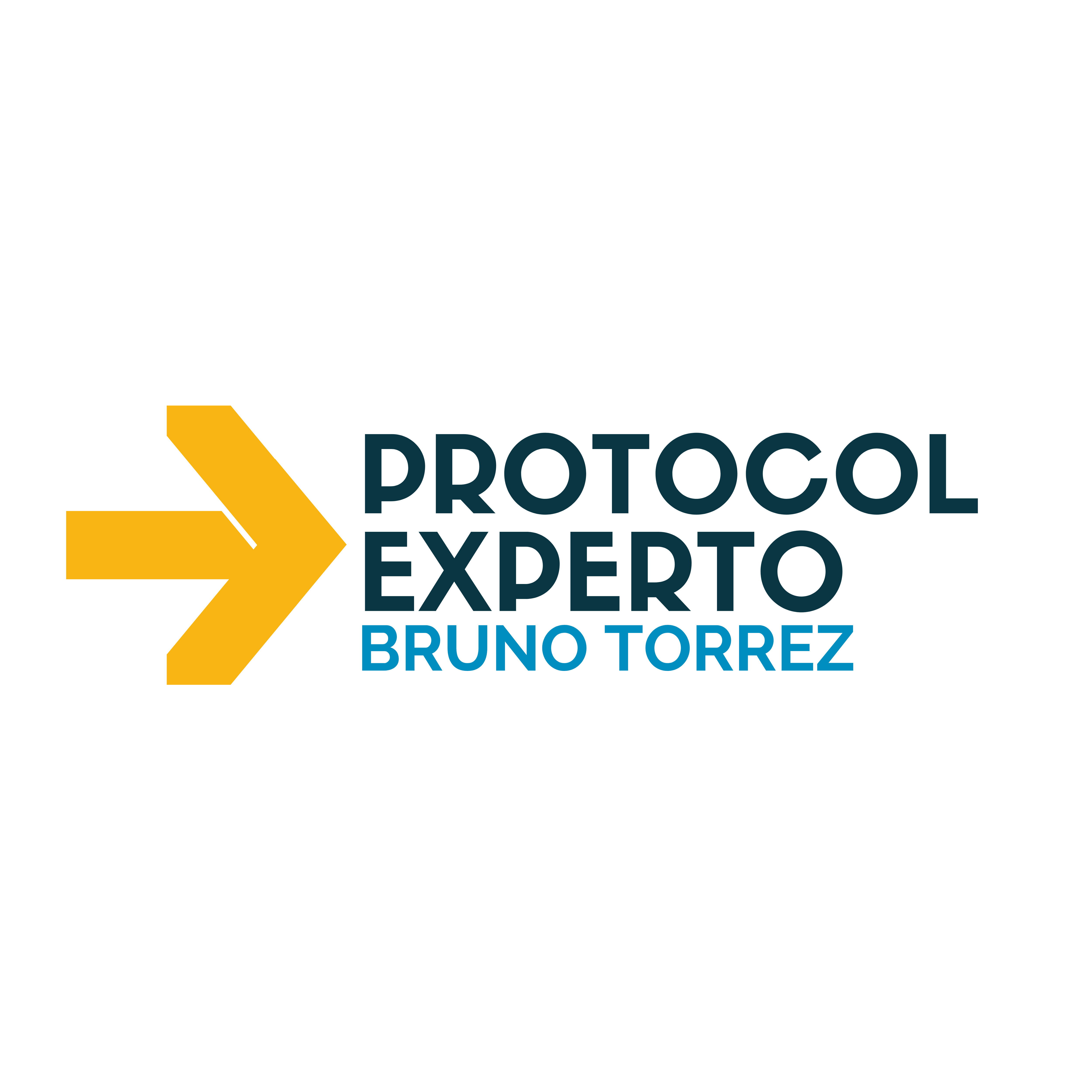 PROTOCOLO EXPERTO | Parte I